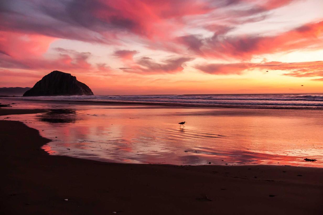 Ex in eum voluptatem saepe possimus