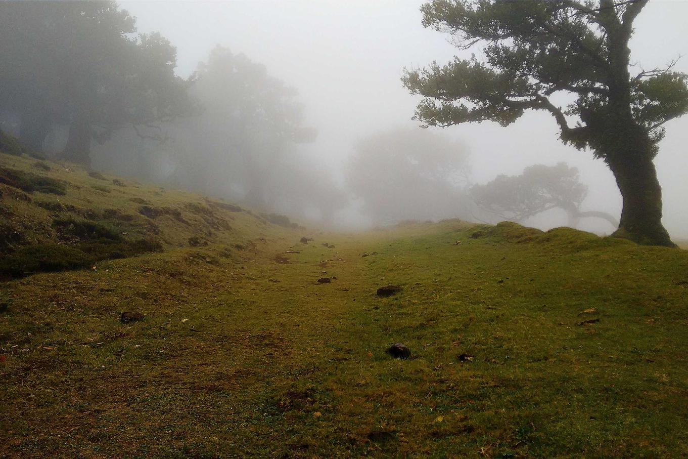 Est deserunt libero aliquid omnis quidem