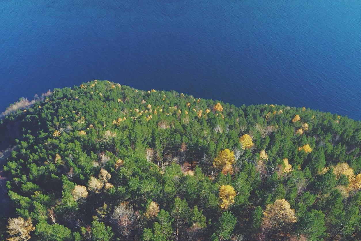 Natus reprehenderit dolorum amet autem dolorum