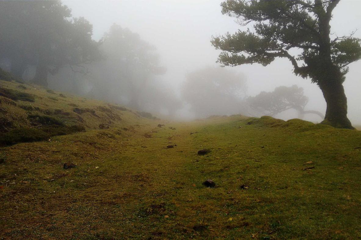 Voluptatem dolor expedita ut